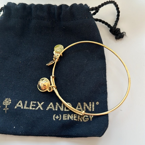 Alex and Ani Bracelet - Picture 3 of 3